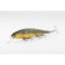 Lucky Craft Pointer 158 SP Aurora Gold Northern Perch