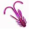 Crazy Fish Allure 27 mm 12 Kalmaras 10 vnt. (46-27-12-6)