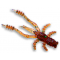 Crazy Fish Crayfish 45 mm 34 Kalmaras 8 vnt. (26-45-34-6)