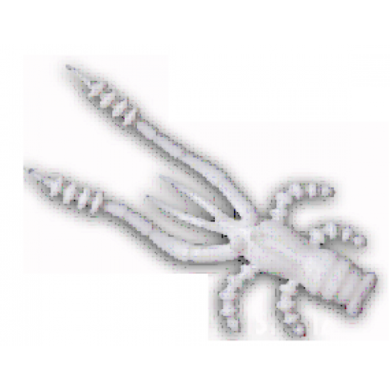 Crazy Fish Crayfish 45 mm 59 Kalmaras 8 vnt. (26-45-59-6) Crazy Fish Crayfish 45 mm 59 Kalmaras 8 vnt. (26-45-59-6)
