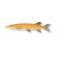 Savage Gear 3D Line Thru Pike 30cm 210g Albino Pike