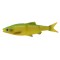 Savage Gear 3D LB Roach Swim Jerk 7.5cm 4g 4 vnt. Firetiger